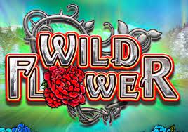 Wild Flower review