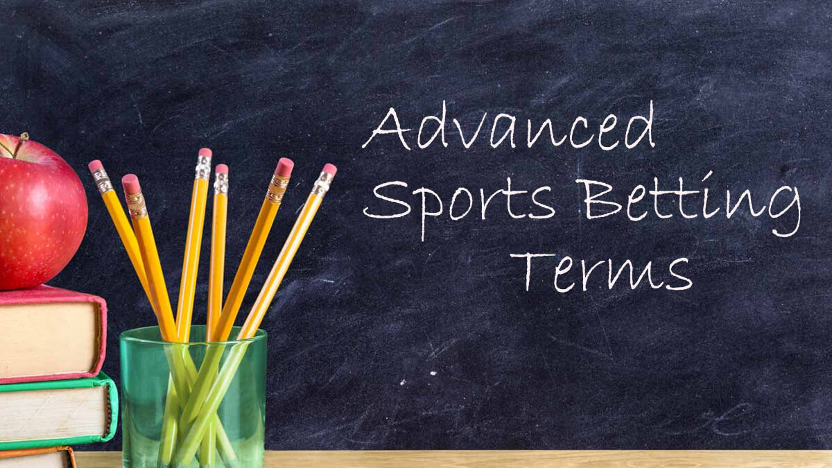 Sports Betting Terminology To Make Informed Bets